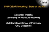 SAR/QSAR Modeling: State of the Art 2013-08-31¢  QSAR Modeling Workflow: the importance of rigorous