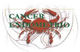 CANCER ENDOMETRIO - HIPERPLASIA ENDOMETRIAL Por estimulaci£³n estrog£©nica sin oposici£³n de progesterona