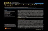 Transcriptional Network Controlling Endochondral Ossification branous ossification and endochondral
