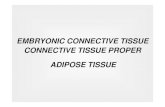 EMBRYONIC CONNECTIVE TISSUE CONNECTIVE ... ... Connective tissue is composed of two elements: £©Cells