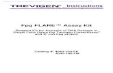Fpg FLARE Assay Kit - Trevigen i Fpg FLARE¢â€‍¢ Assay Kit Reagent Kit for Analysis of DNA Damage in Single