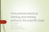 Immunohistochemical staining and staining c staining and... Disadvantages of domestic microwave Hot