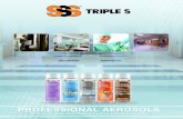 PROFESSIONAL AEROSOLS - Triple S METERED AIR CARE SYNERGY AIR CARE COLLECTION METERED AIR CARE Premium