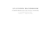 A Quick Reference for Gross ANATOMY HANDBOOK A Quick Reference for Gross Anatomy S. Christopher Bennett,