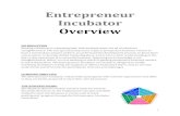 Entrepreneur Incubator Overview ... Detailed Lesson Plan: a step-by-step guide to facilitating the workshop