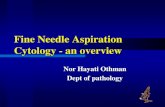 Fine Needle Aspiration cytology Histopathology >100 years - ... ADVANTAGES Fast - early diagnosis