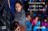 Mainstreaming DRR in the Education Sector DRR legislations (Indonesia, Philippines) ¢â‚¬¢DRR in curriculum: