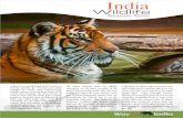 Ranthambore Tiger Reserve Sariska Tiger Reserv NEPAL kaziranga National Park Ban dhav Tiger Re Tige