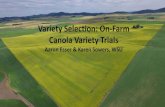 Variety Selection: On-Farm Canola Variety Variety Selection: On-Farm Canola Variety Trials. ... Amanda