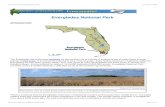 Everglades National Park - barren.k12.ky.us Everglades National Park INTRODUCTION The Everglades are