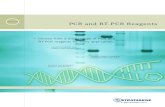 AMPLIFICATION PCR and RT-PCR Reagents - 0>0 PCR AND RT-PCR REAGENTS We have the best PCR and RT-PCR