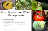 Pest, Disease and Weed Management - ¢  3. Pest/ Disease Management and Control ¢â‚¬¢Diseases are another