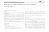 Multi-scale hyperspectral imaging of cervical swzhang/paper/JP22.pdf¢  Multi-scale hyperspectral imaging