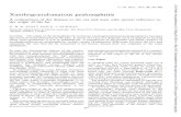 Xanthogranulomatous pyelonephritis - Journal of Clinical ... xanthogranulomatous pyelonephritis reveals