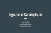 Digestion of Carbohydrates - Santa Monica Digestion of Carbohydrates The goals of carbohydrate digestion