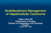 Multidisciplinary Management of Hepatocellular Multidisciplinary Management of Hepatocellular Carcinoma