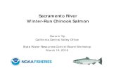 Sacramento River Winter-Run Chinook 2016-03-18آ  Sacramento River Winter-Run Chinook Salmon Garwin Yip
