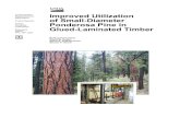 Improved utilization of small-diameter ponderosa pine in ... · PDF file Improved Utilization of Small-Diameter Ponderosa Pine in Glulam Timber Roland Hernandez, Research Engineer