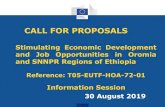 CALL FOR PROPOSALS ... Information Session 30 August 2019 CALL FOR PROPOSALS Stimulating Economic Development