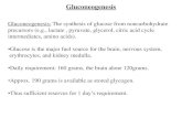 Gluconeogenesis - Weebly Gluconeogenesis Gluconeogenesis: The synthesis of glucose from noncarbohydrate