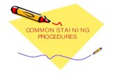 COMMON STAINING PROCEDURES - ltgdp. -Common Staining  ¢  COMMON STAINING PROCEDURES. Staining
