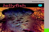 Teacher Edition Jellyfish - te  ¢  Cannonball jellyfish 6 Where do jellyfish live? Most