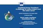 Combined Sewer Overflows A challenge for policy makers and ... Storm water overflows DISCUSSION POINTS