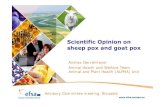 Scientific Opinion on sheep pox and goat pox ... 2014/11/24  · animals, around 19 300 animals in Greece and 687 in Bulgaria up until April 2014, and the decrease in animal movements