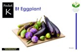 Pocket Bt Eggplant - ISAAA.org Tarong Dagiti mannalon ti tarong ket sagabaen da iti dakkel nga pannaka