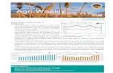 Agri- Sep 2016.pdf¢  FNB Agri-Weekly Page 2 Domestic: It was another week of sharp losses on the maize