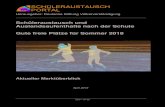 Sch£¼leraustausch und Auslandsaufenthalte nach ... Cross ¢â‚¬â€œ DFSR GmbH, Sprachcaffe Reisen GmbH, Stepin