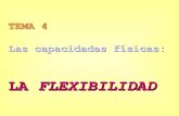 Las capacidades f£­sicas: LA LA FLEXIBILIDAD Y EL APARATO LOCOMOTOR 2. COMPONENTES DE LA FLEXIBILIDAD