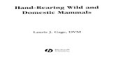 Hand-Rearing Wild and Domestic Mammals 1. Domestic animals. 2. Captive mammals. 3. Mammals. I. Gage,
