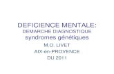 DEFICIENCE MENTALE: DEMARCHE DIAGNOSTIQUE DEFICIENCE MENTALE: DEMARCHE DIAGNOSTIQUE syndromes g£©n£©tiques