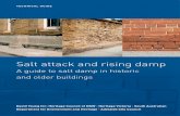 Salt Attack and Rising Damp Technical technical guide Salt attack and rising damp. A guide to salt damp