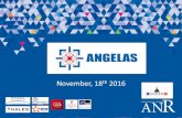 ANGELAS November, 18th 2016 Property of ANGELAS CONSORTIUM. Information of all kinds which may include