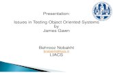 Presentation: Issues in Testing Object Oriented Systems ... zIssues in Testing Object Orientated Systems,