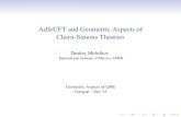 AdS/CFT and Geometric Aspects of Chern-Simons klevtsov/ ¢  3 and Chern-Simons 3d Gravity