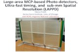 Large-area MCP-based Photo-detectors, Ultra-fast timing, and sub hep. frisch/talks/Light11_v8.pdf · PDF file 2011-10-28 · Large-area MCP-based Photo-detectors, Ultra-fast timing,