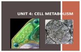 UNIT 4: CELL METABOLISM · PDF file UNIT 4: CELL METABOLISM Metabolism = A process that involves using energy to build or break down molecules Photosynthesis and cellular respiration