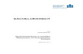 BACHELORARBEIT · PDF file Sentimentanalyse in sozialen Netzwerken im forensischen Kontext- 2017 - 6, 68, 2 Mittweida, Hochschule Mittweida, Fakultät Computer- und Biowissenschaften,