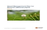 Mimosa weed management plan - Northern Territory · PDF file Mimosa (Mimosa pigra) is a thorny shrub native to Central and South America. Mimosa was introduced to the Northern Territory
