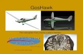 GosHawk - Windward Performance  ¢  The GosHawk¢â‚¬â„¢s exceptional design, which includes exceedingly
