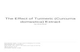 domestica) Extract The Effect of Turmeric ( ... of the optimal dosage of turmeric extract One of turmeric