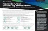 Remote User Phishing Protection Money Transfer Scams Credit card and Bitcoin fraud, wire transfers,