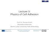 Lecture3: PhysicsofCellAdhesion Lecture3: PhysicsofCellAdhesion Prof. Dr. Thomas Groth Biomedical Materials