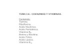 TEMA 3.6.- COENZIMAS Y - Vitaminas liposolubles (A, D, E, K) - Vitaminas hidrosolubles (coenzimas)