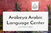Arabeya Arabic Language Center - Arabeya Arabic Language Institute is a renowned Arabic language Institute