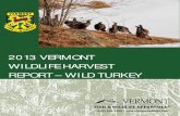 2013 VERMONT WILDLIFE HARVEST REPORT – ... (802) 828-1000 / 2013 Vermont Wild Turkey Harvest Report 1 2013 Wild Turkey Report Wild Turkey Population Status Vermont’s wild turkey
