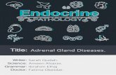 Adrenal Gland Diseases. - JU Medicine · PDF file 2020-05-18 · The Adrenal CORTEX synthesizes three different types of steroid hormones: o glucocorticoids (principally CORTISOL),